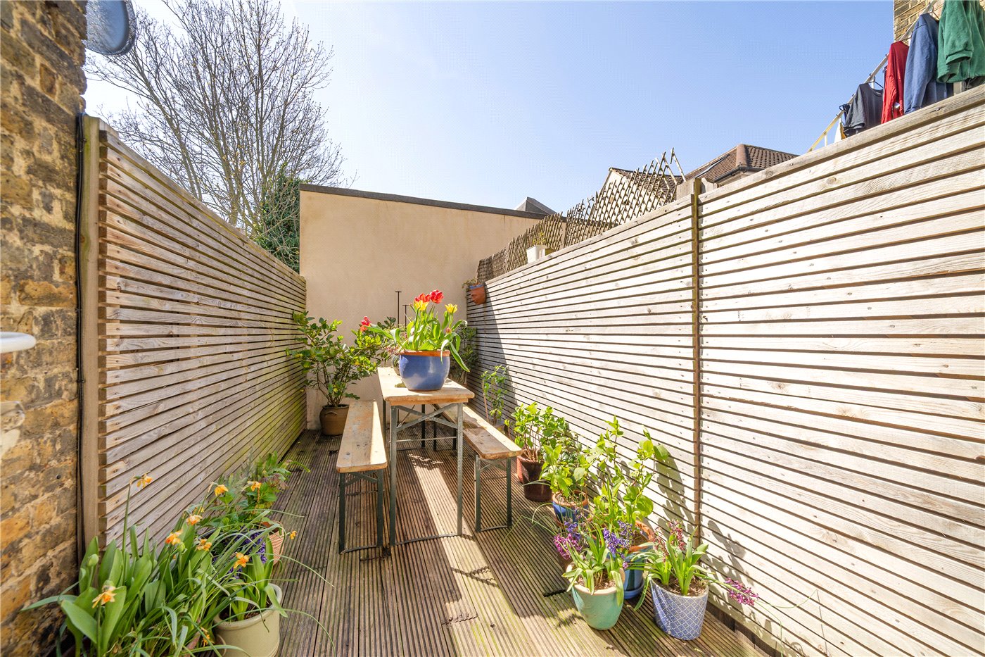 Garden