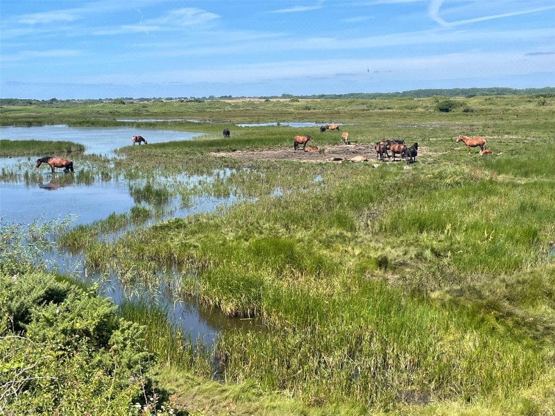 Keyhaven Road, Milford on Sea, Lymington, Hampshire, SO41