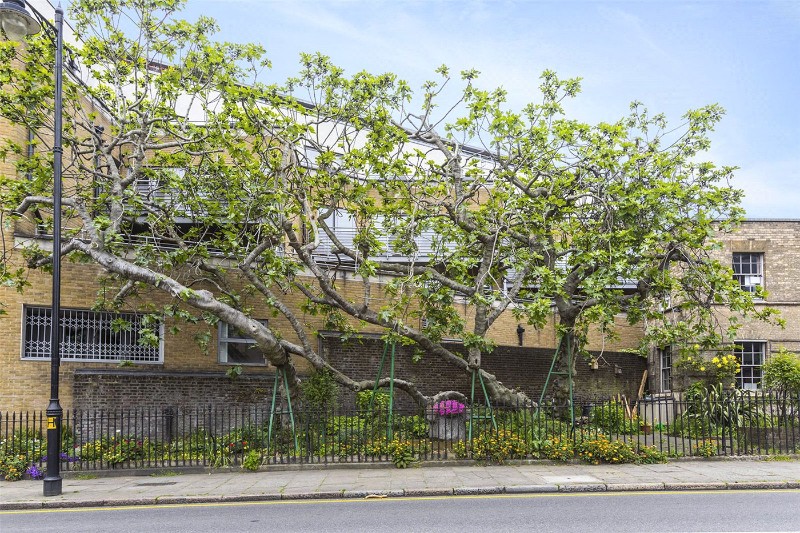 Naoroji Street, London, WC1X