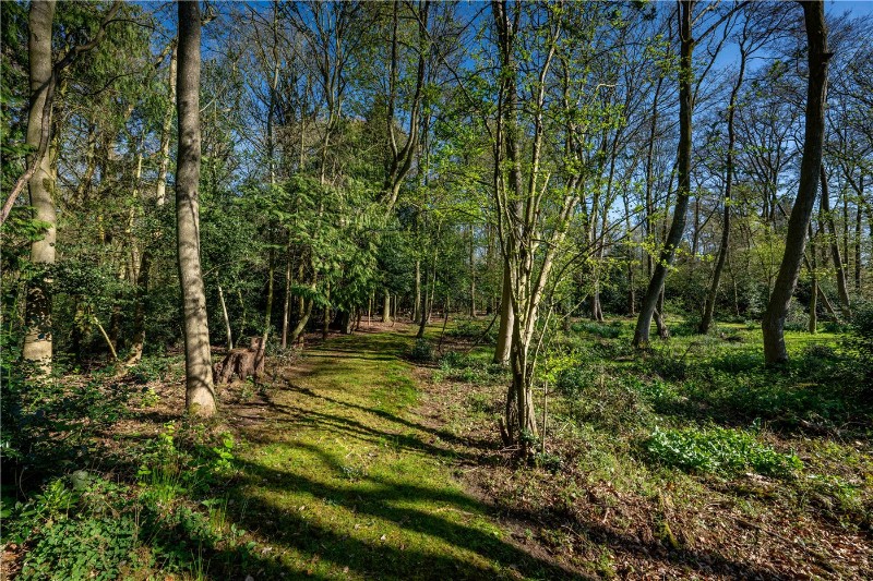 Long Road, Framingham Earl, Norwich, Norfolk, NR14