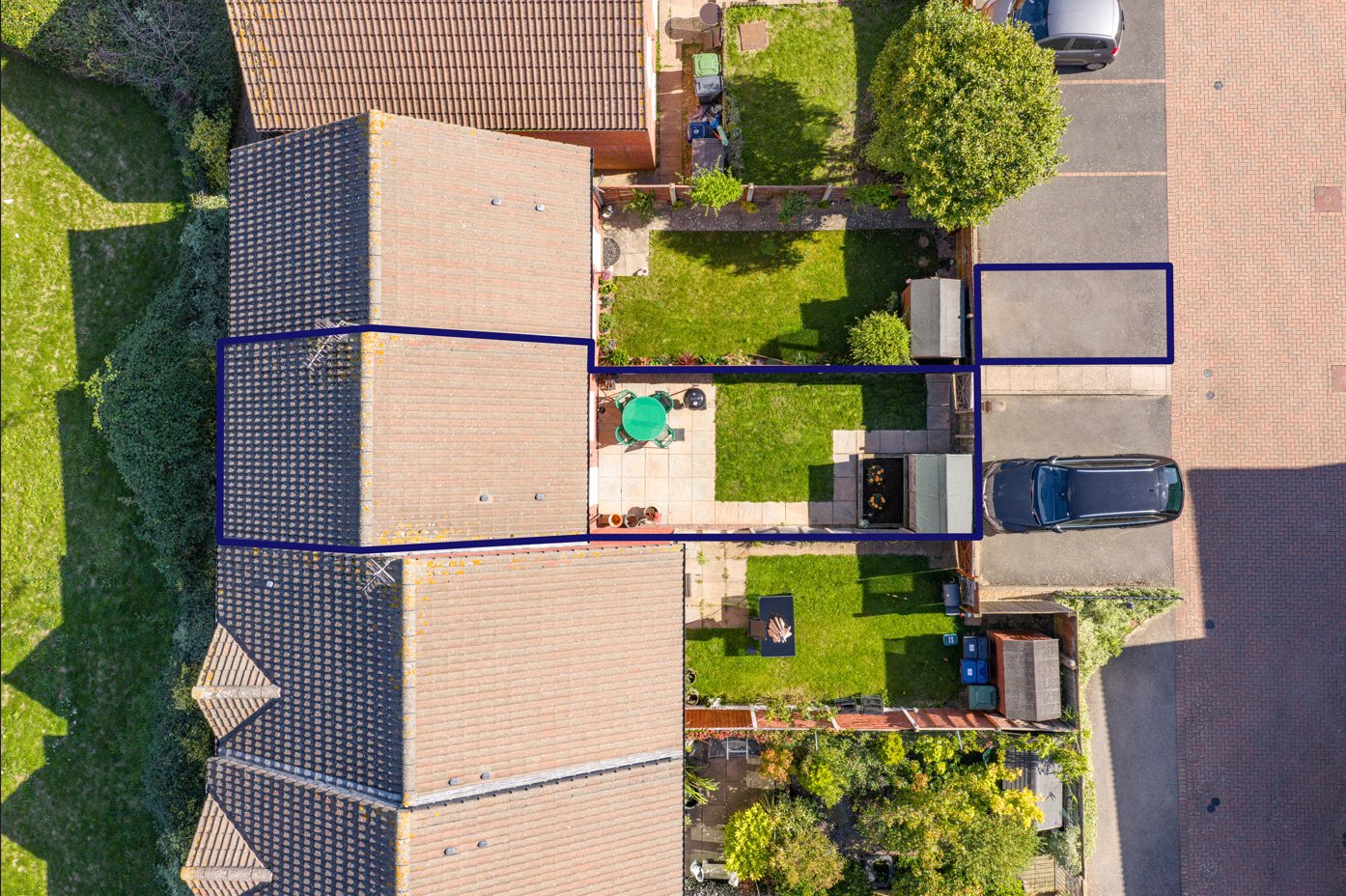 Birdseye
