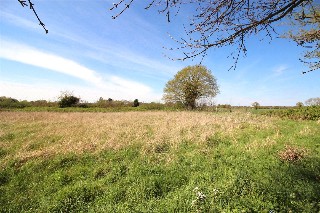 Burgess Way, Brooke, Norwich, Norfolk, NR15