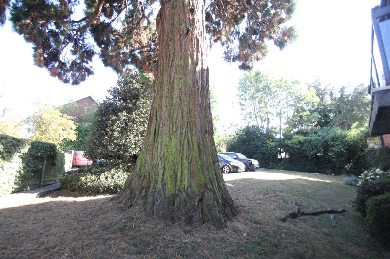 Orchard Lodge, 31 Woodside Grove, London, N12