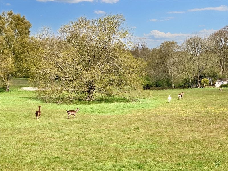 Upper Holton, Halesworth, Suffolk, IP19