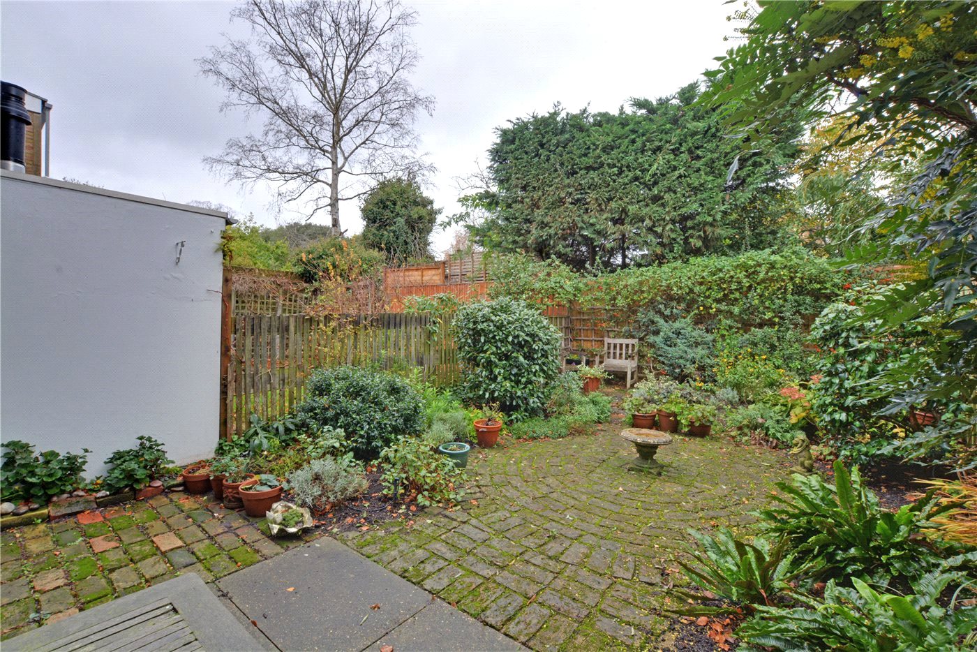 Garden