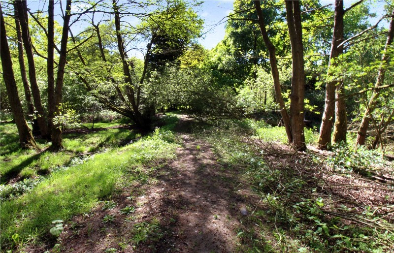 Newton Street, Newton St Faith, Norwich, Norfolk, NR10