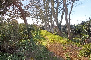 Links Road, Mundesley, Norwich, Norfolk, NR11