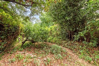 Town Lane, Petersfield, Hampshire, GU32