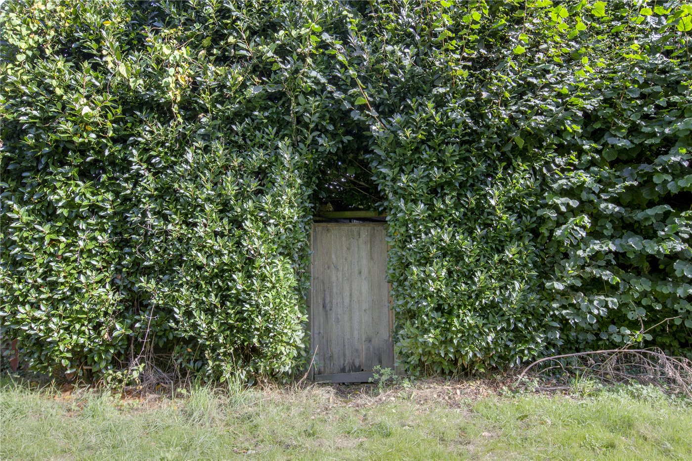 Access Onto Fields