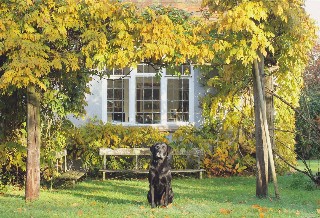 Blackbush Road, Milford on Sea, Lymington, Hampshire, SO41