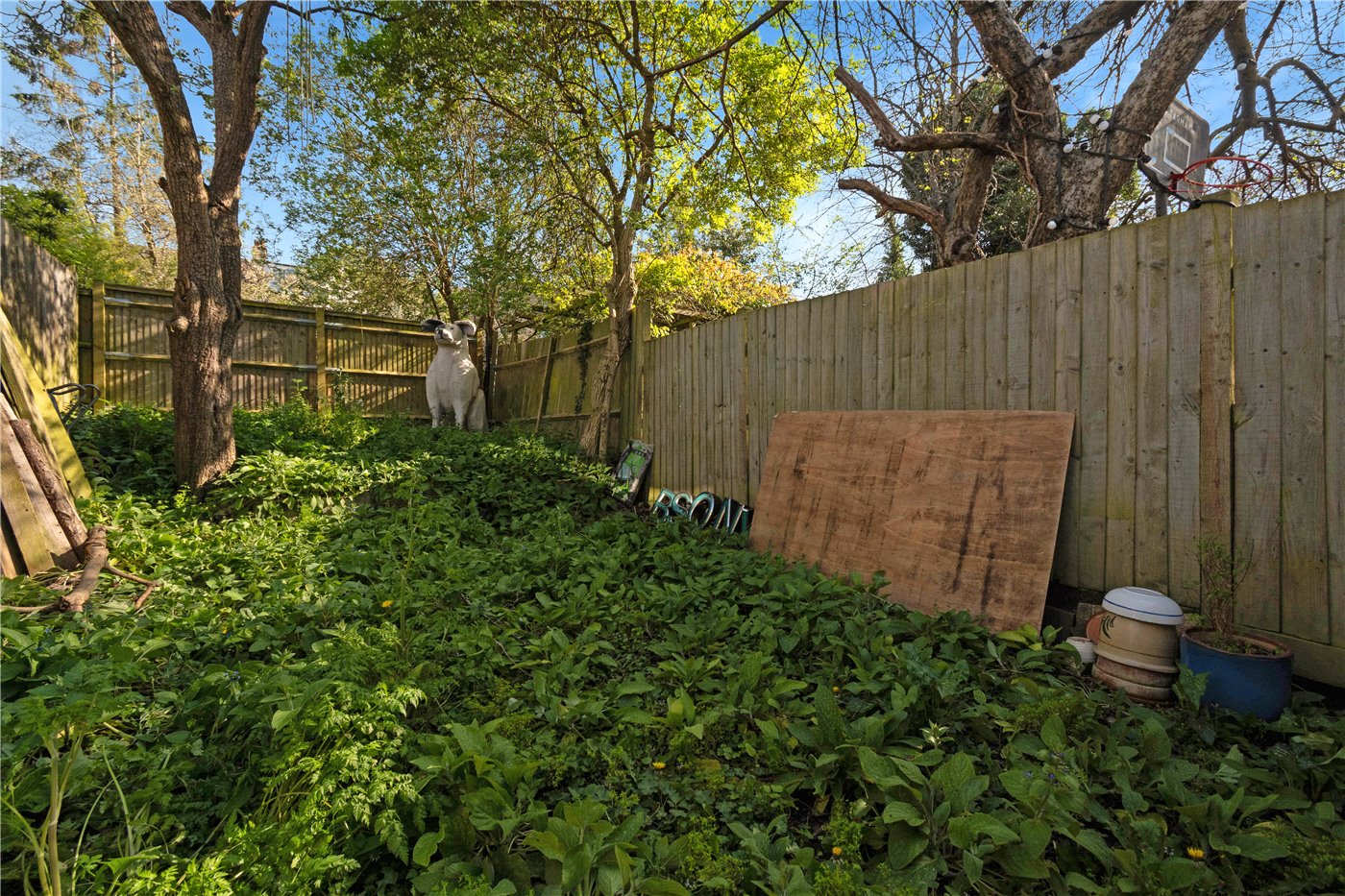 Garden