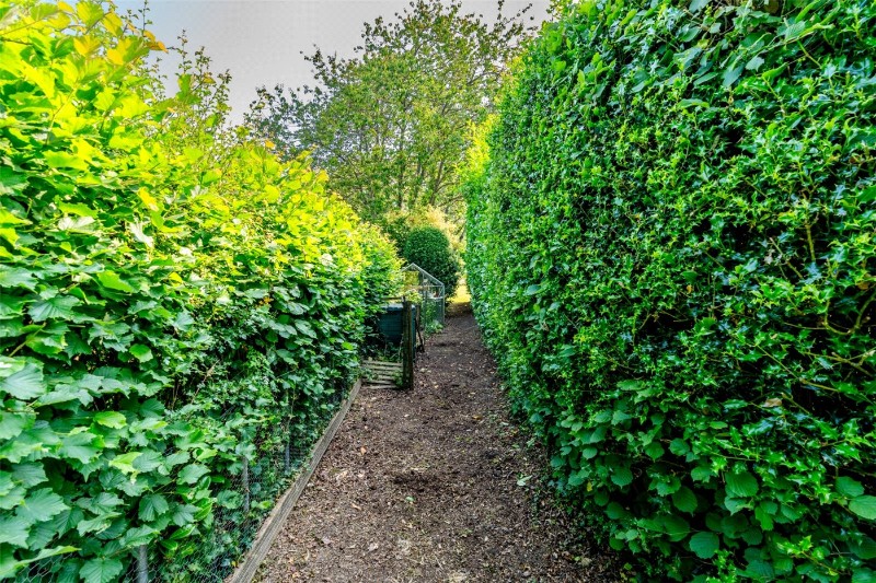 Gaunts Common, Wimborne, Dorset, BH21
