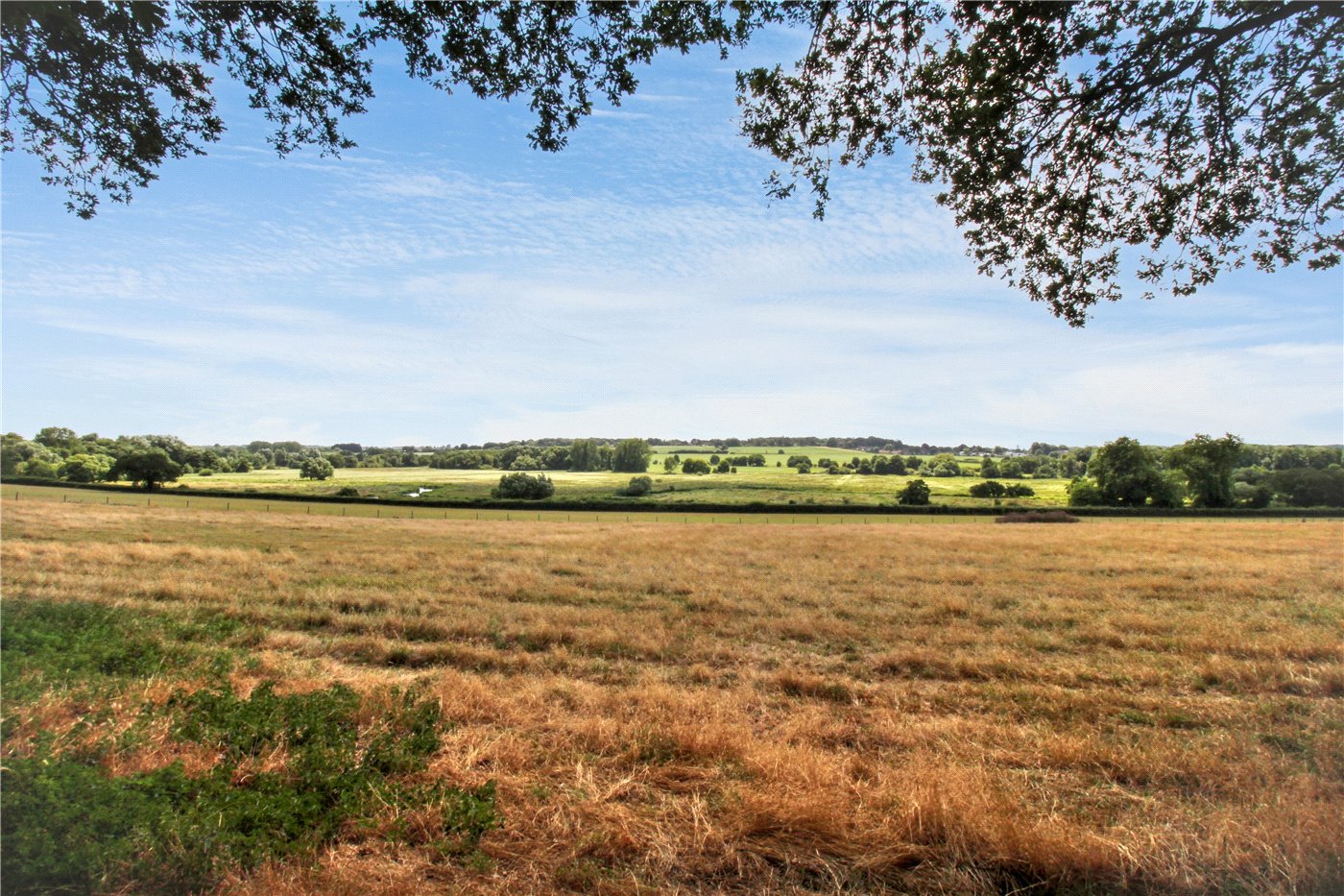 View From Woods
