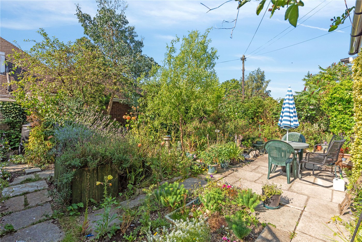 Garden