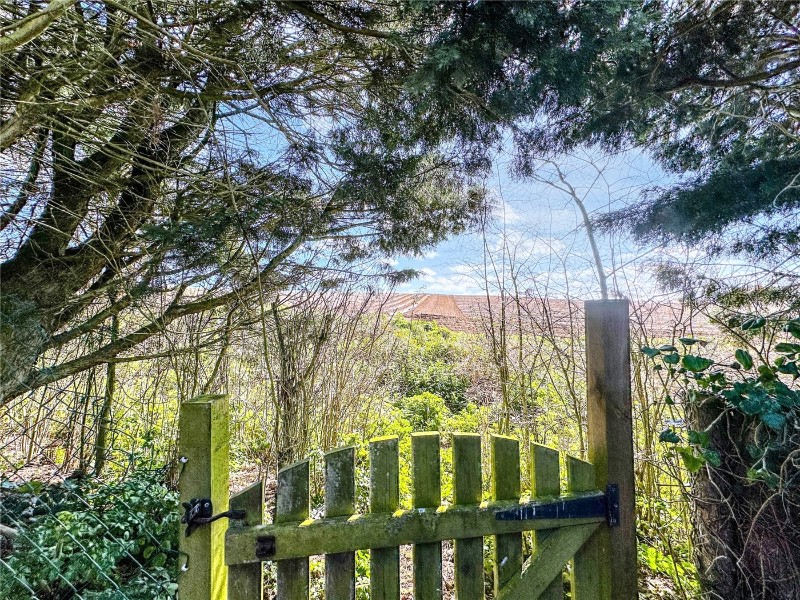 London Road, Blythburgh, Halesworth, IP19