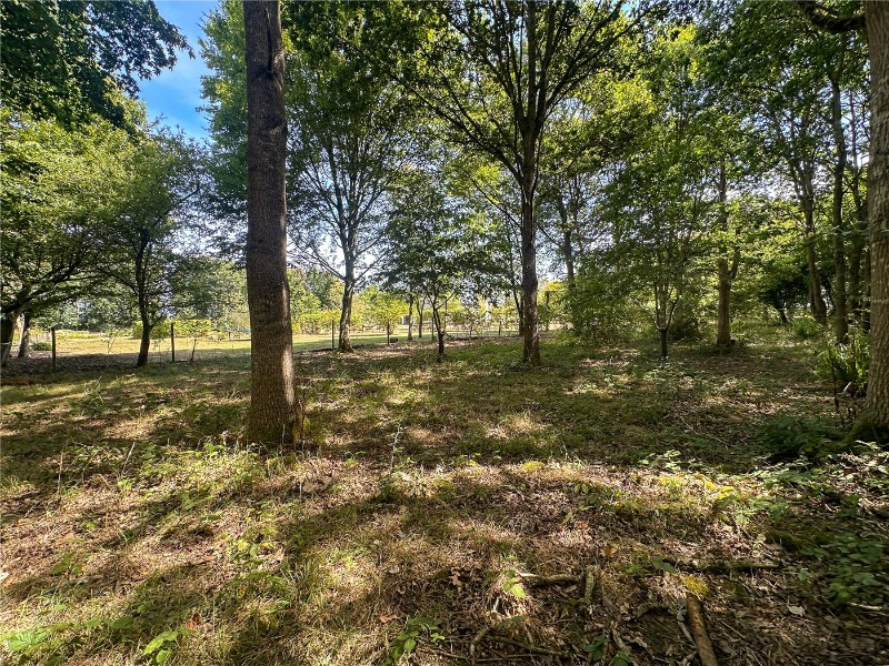 Slade Lane, Yelverton, Norwich, Norfolk, NR14