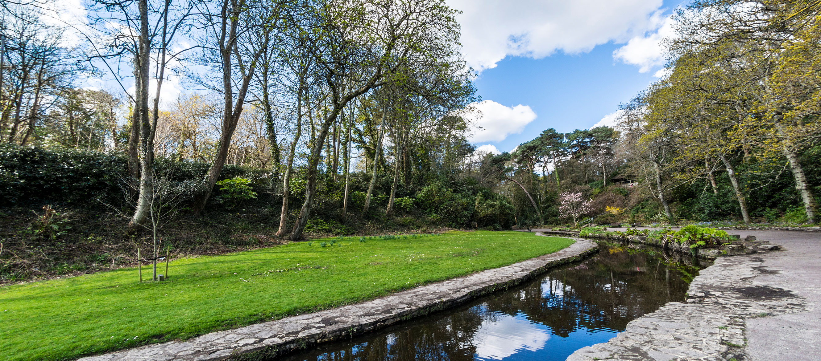 Estate Agents in Branksome Park