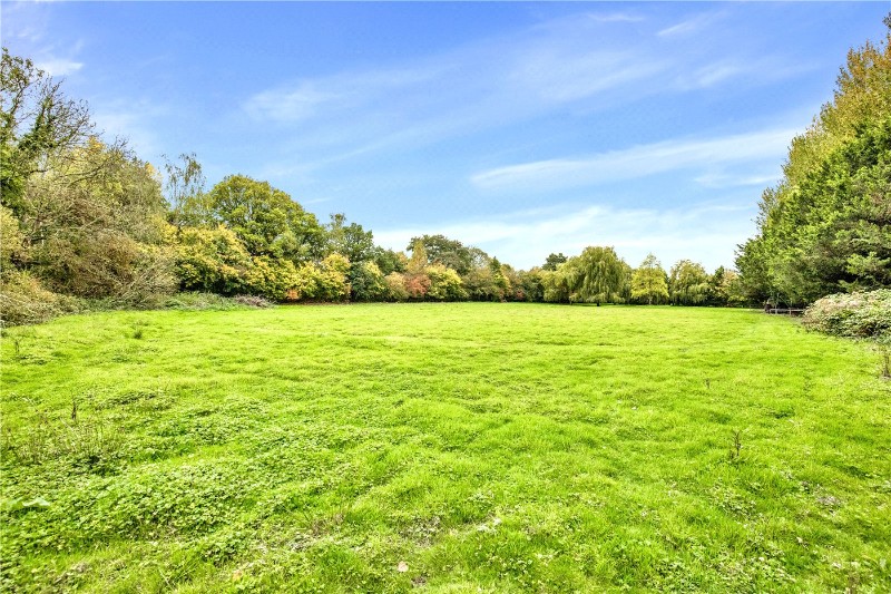 Kingsley, Hampshire, GU35