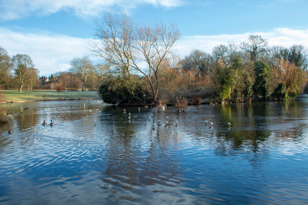 Abington-park