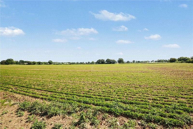The Green, Surlingham, Norwich, Norfolk, NR14
