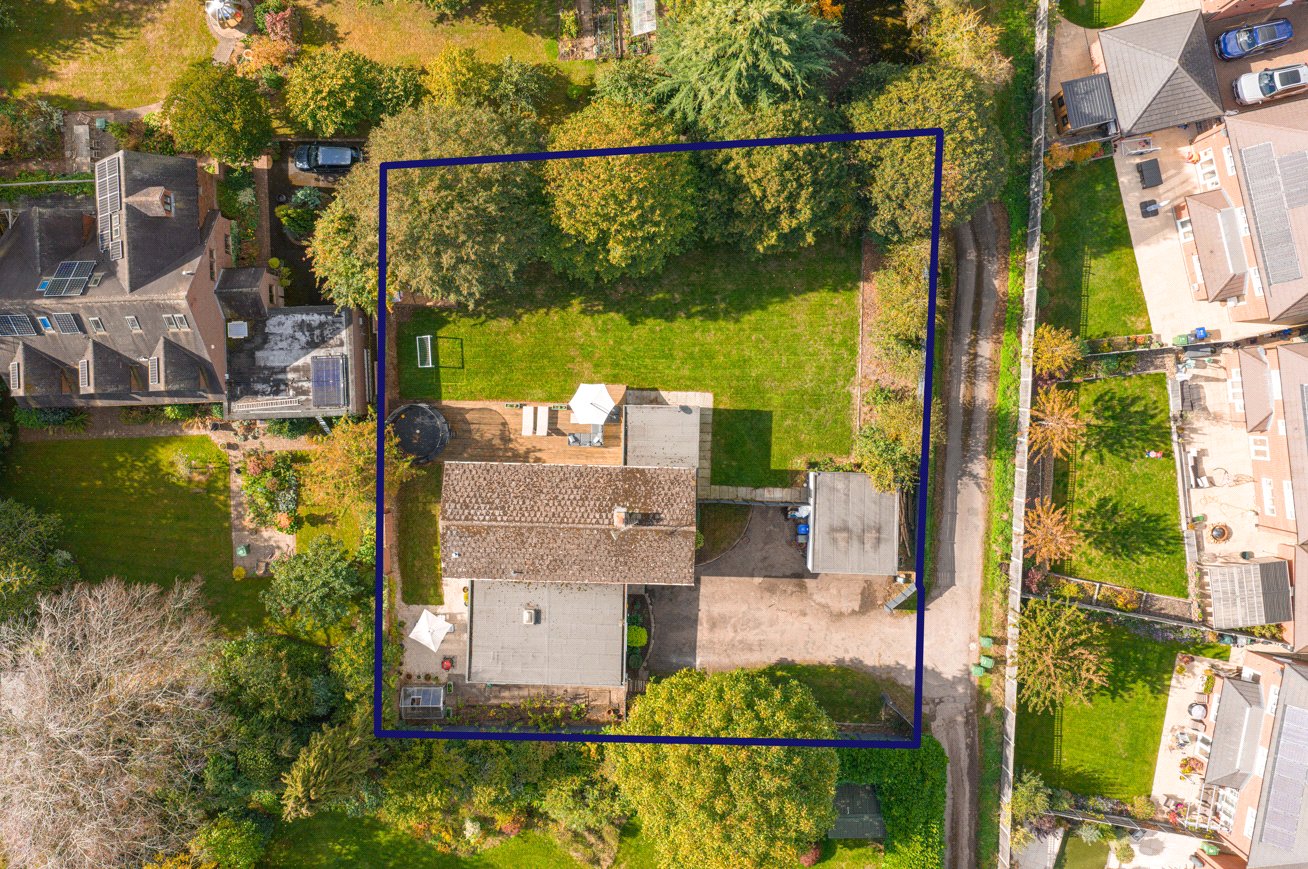 Birdseye
