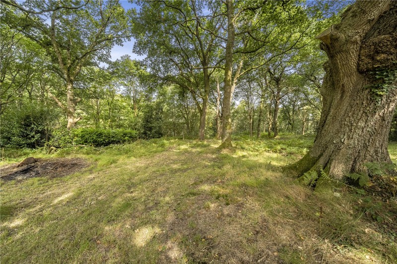 Fernbrae Close, Rowledge, Farnham, Surrey, GU10