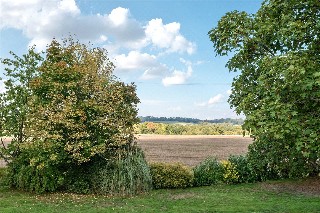 Kingsley, Hampshire, GU35