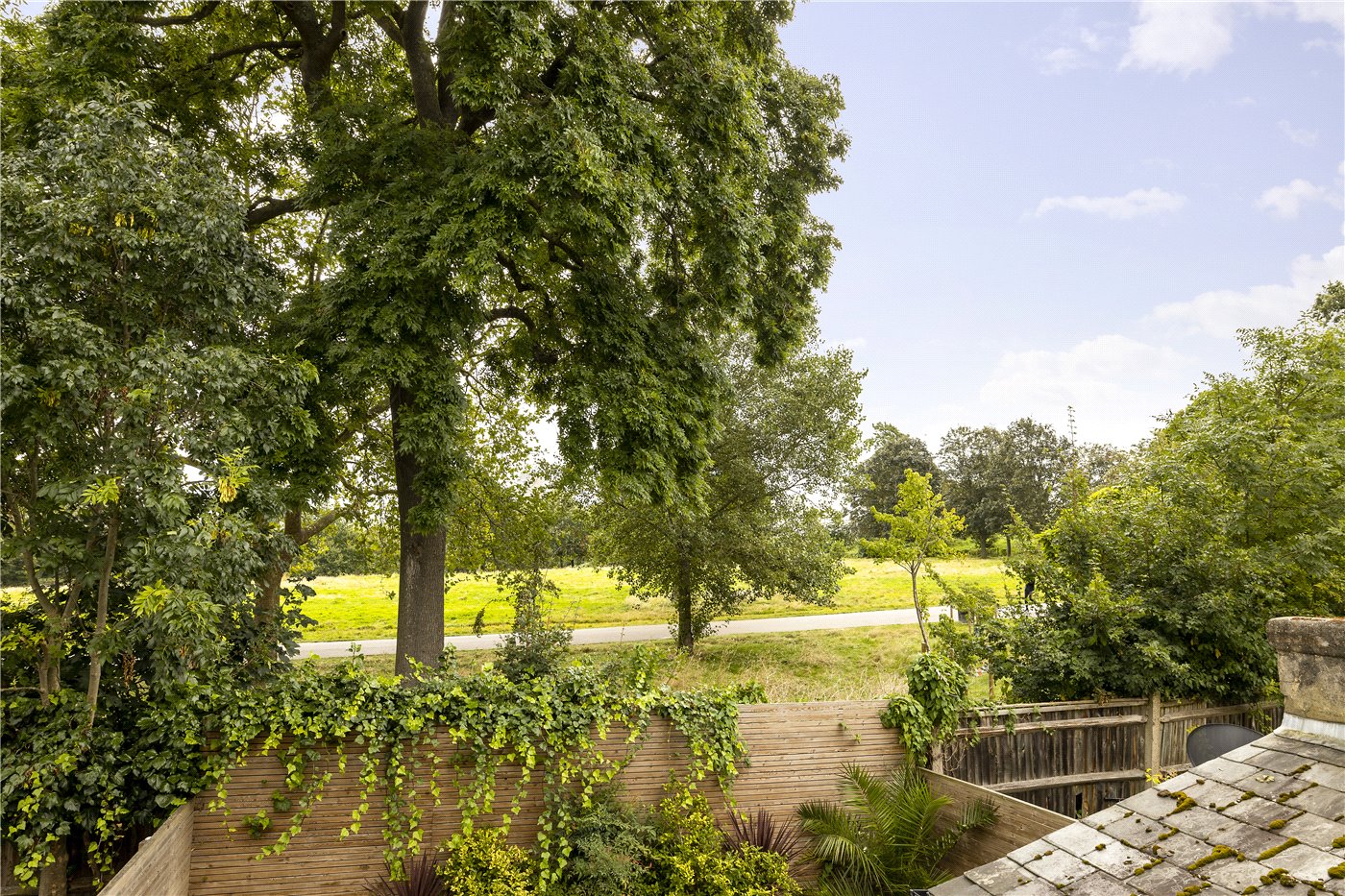 View From Kitchen