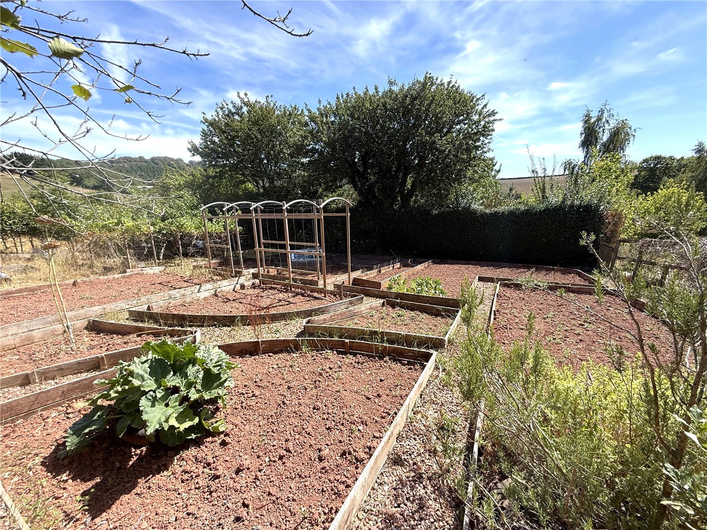 Veggie Patch