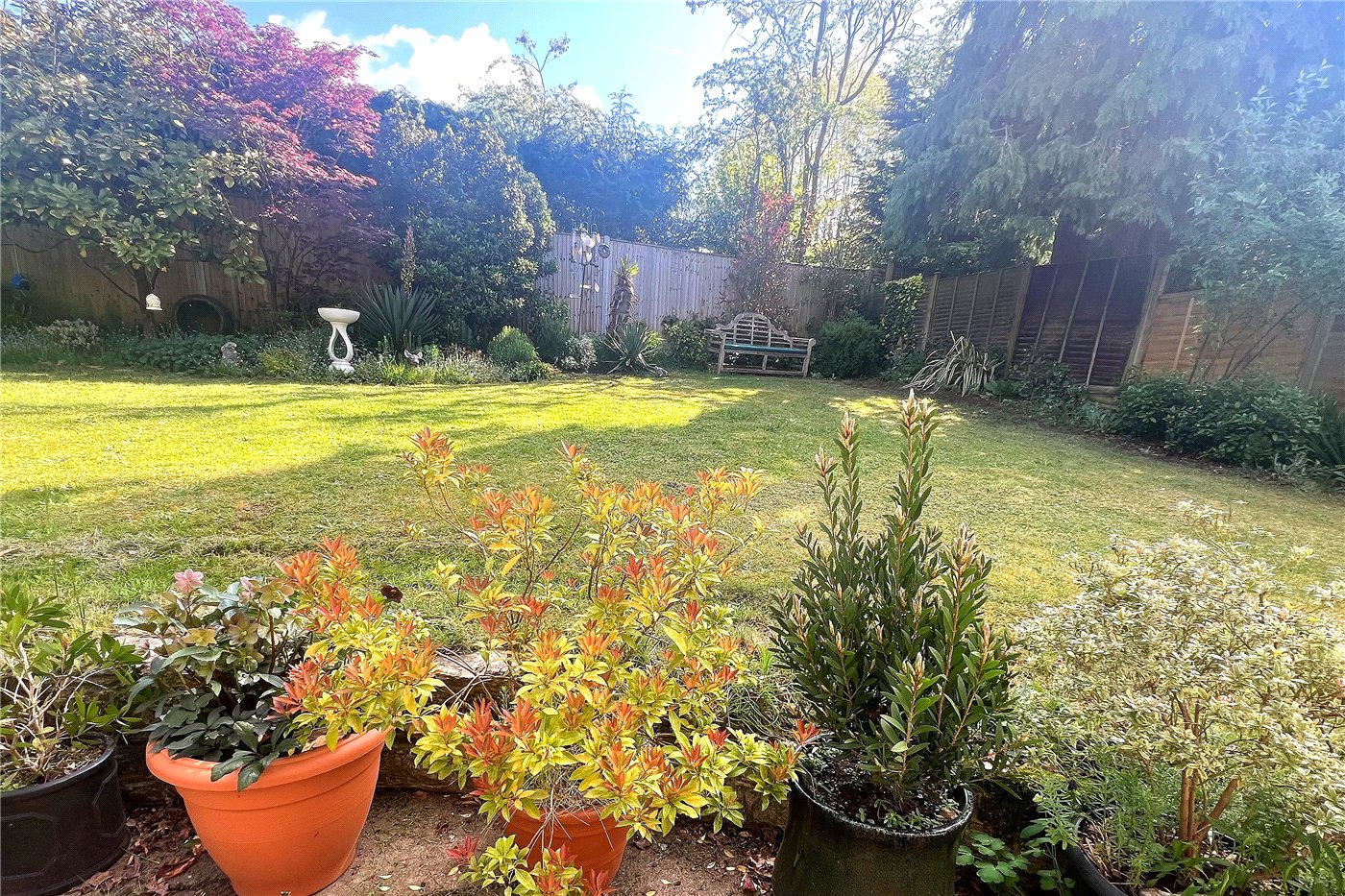 Garden