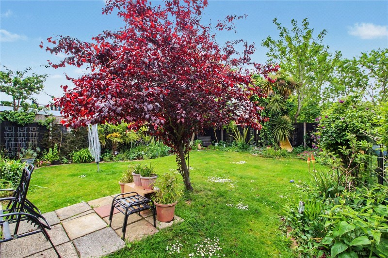 Old Station Road, Halesworth, Suffolk, IP19