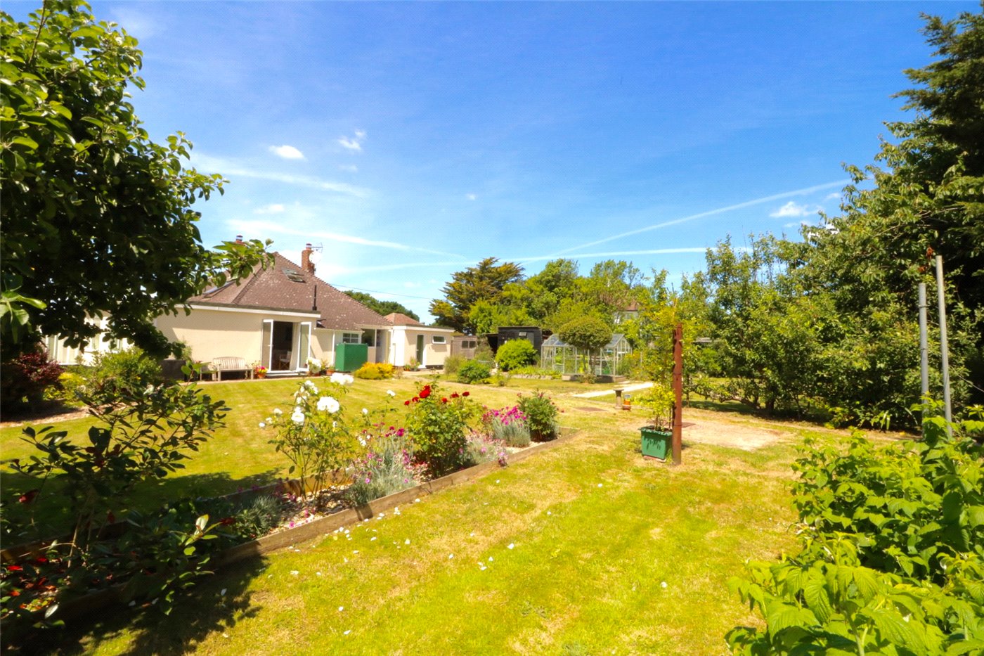 Back Garden