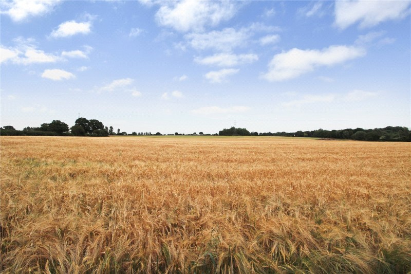 Loddon Road, Norton Subcourse, Norwich, Norfolk, NR14