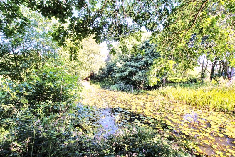 Blyford Lane, Wenhaston, Halesworth, Suffolk, IP19