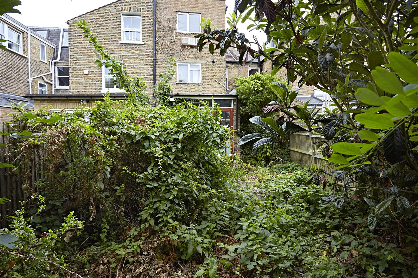 Picture No. 10