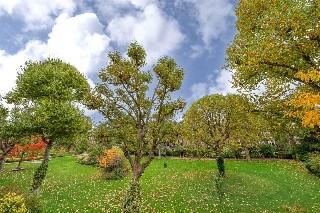 Warrington Crescent, Little Venice, London, W9