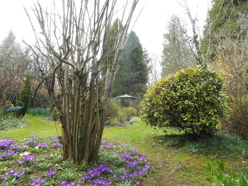 Chipstead Way, Banstead, Surrey, SM7