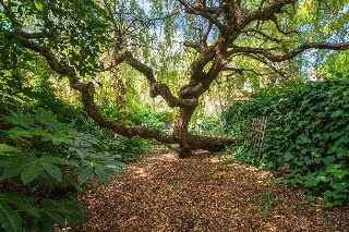 Holland Park Avenue, London, W11
