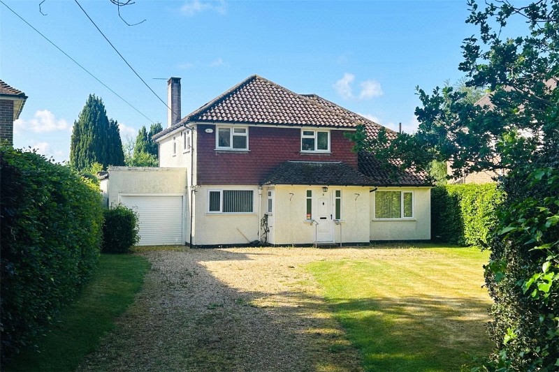 Bell Hill Ridge, Petersfield, Hampshire, GU32