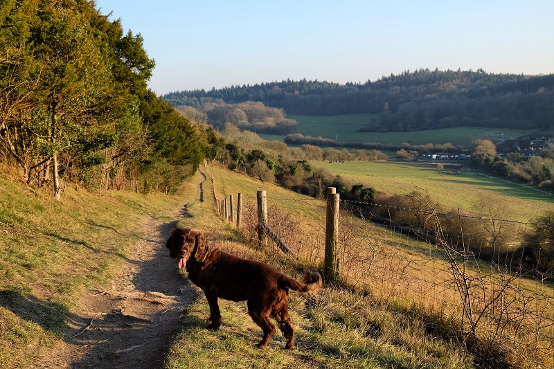 3_NORTH_DOWNS_WAY