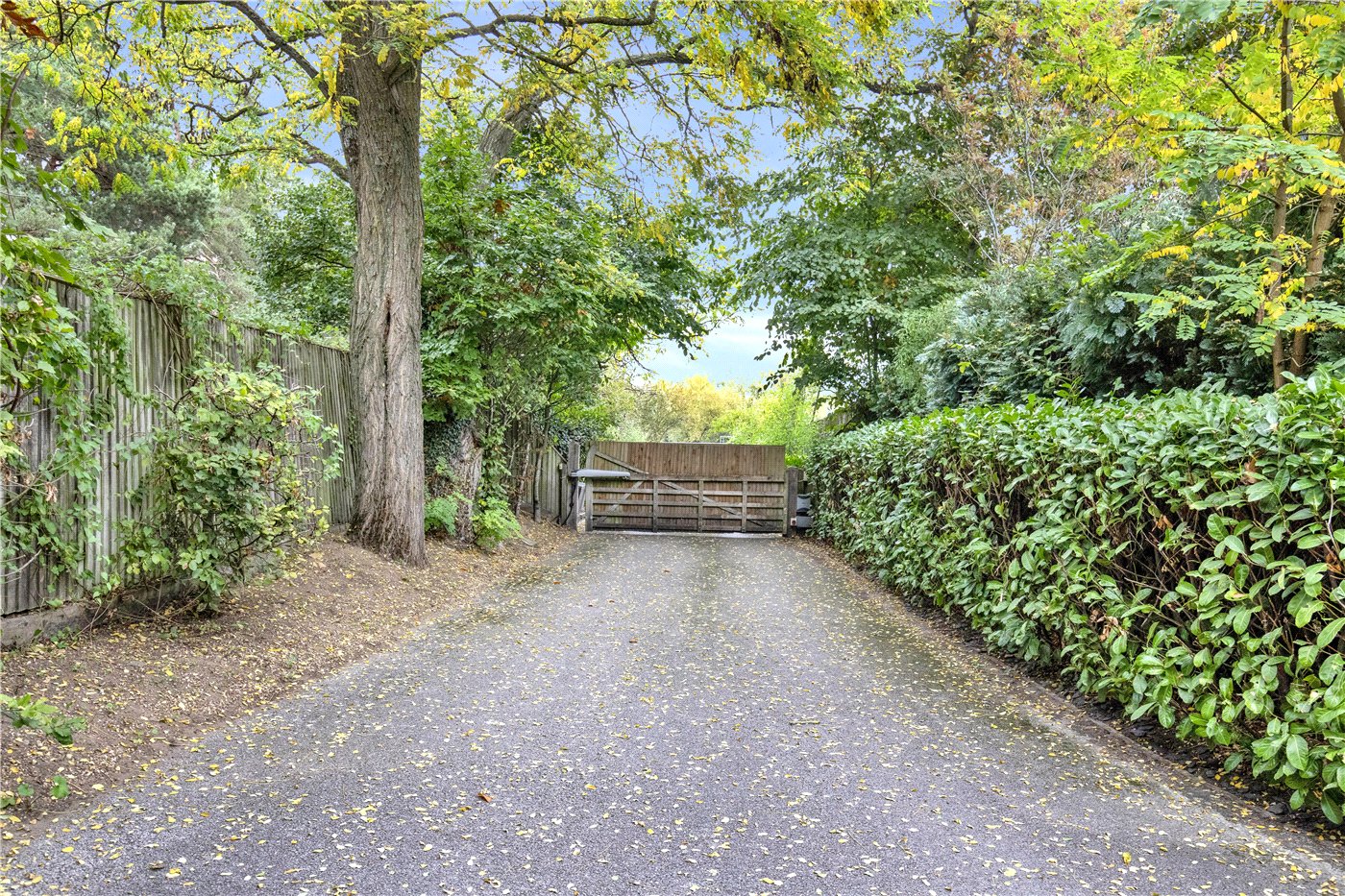 Winkworth Farnham