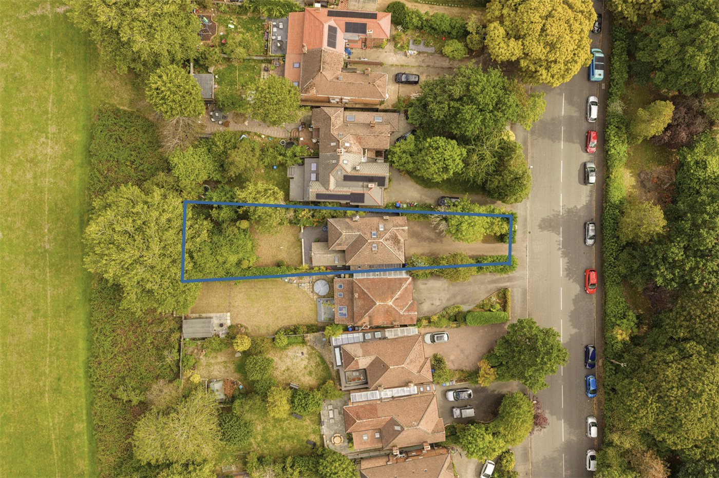 Birdseye