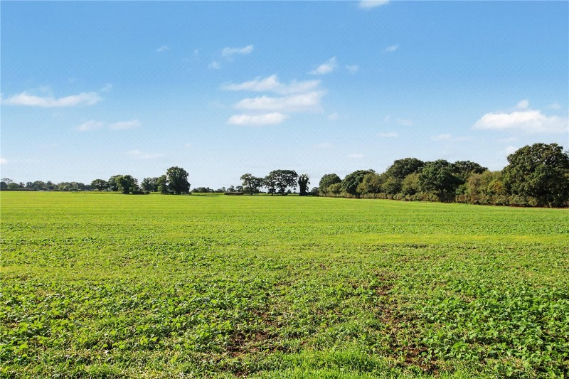 Threadneedle Street, Bergh Apton, Norwich, Norfolk, NR15
