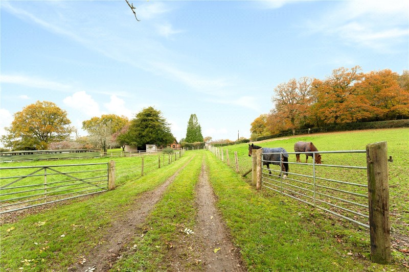 Bramshaw, Lyndhurst, Hampshire, SO43