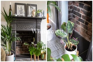 Sirdar Road, London, N22
