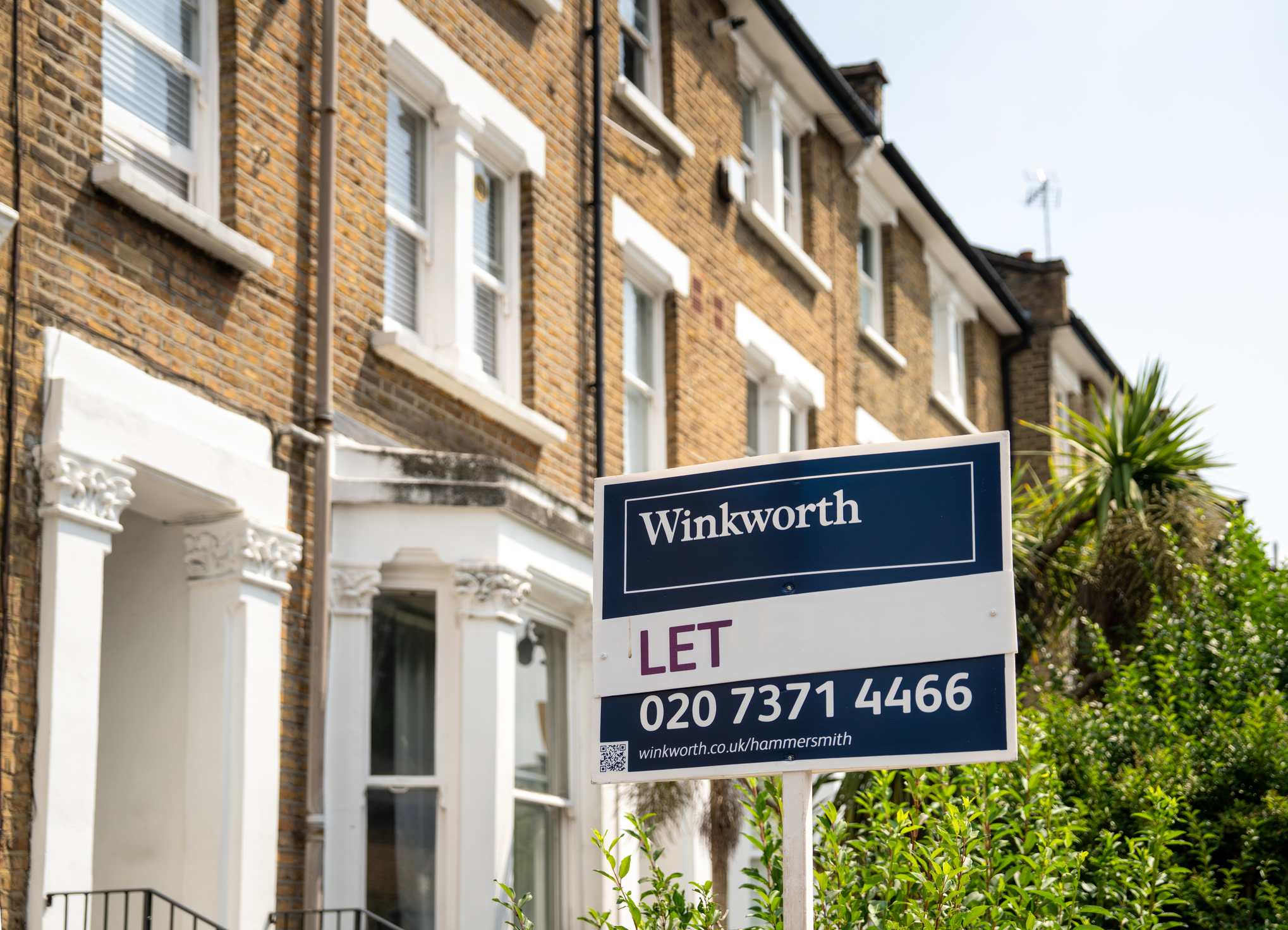 buytolet_aug