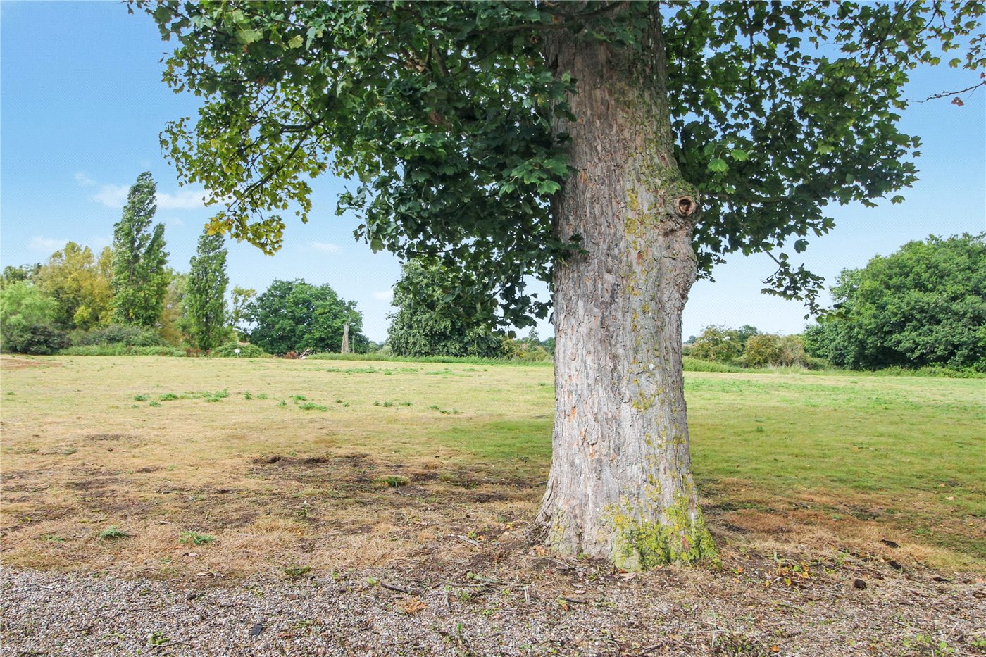 Communal Grounds
