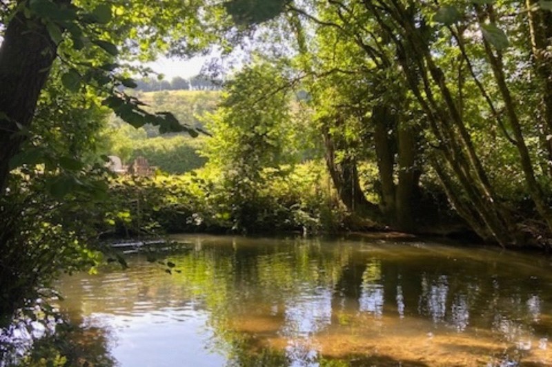 Bury, Dulverton, Somerset, TA22