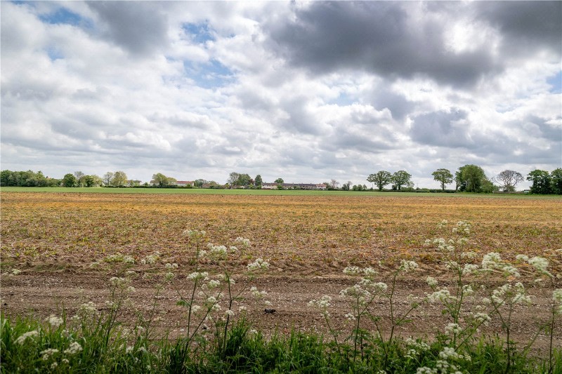 Old Hall Park, Seething, Norwich, Norfolk, NR15