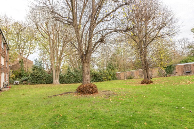 Auckland Road, London, SE19